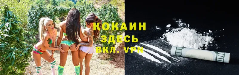 Cocaine Боливия  Нестеров 