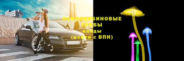 дживик Медногорск