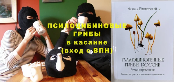 дживик Медногорск