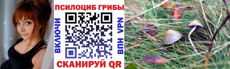 Псилоцибиновые грибы GOLDEN TEACHER Нестеров