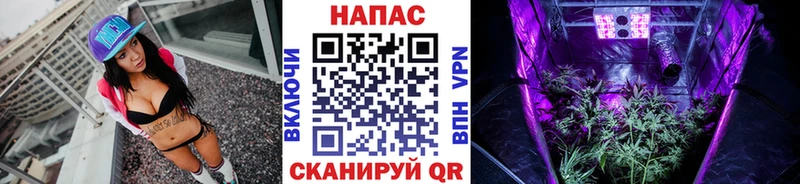 закладка  kraken ONION  Каннабис сатива  Нестеров 